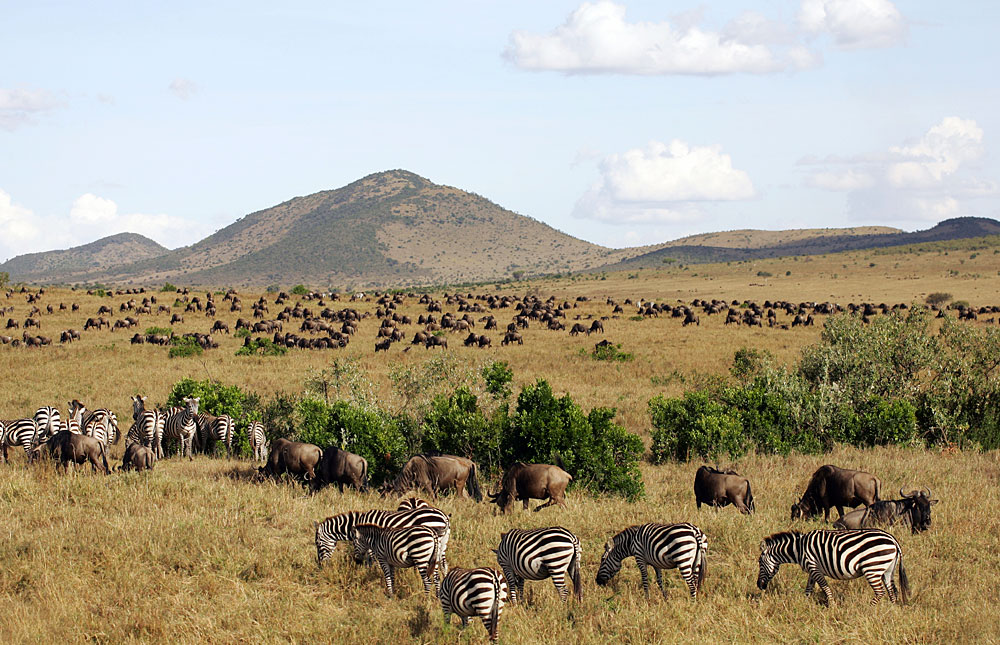 Maasai Mara Nature Trail Orthodox Safaris